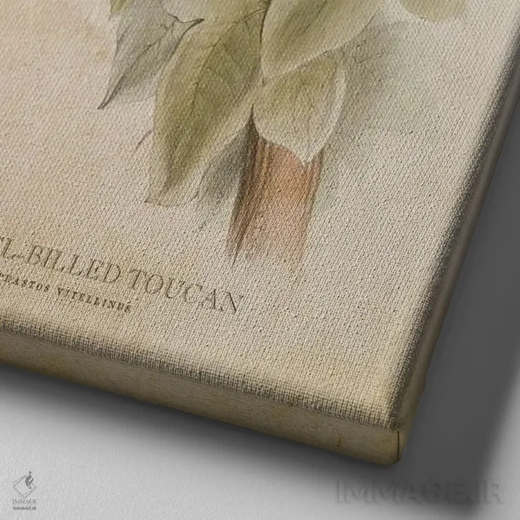 تابلو توقان با منقار کانالدار (وینتیج) اثر پیکسل کهنه (استودیو/نام هنری) - نمای نزدیک بافت بوم