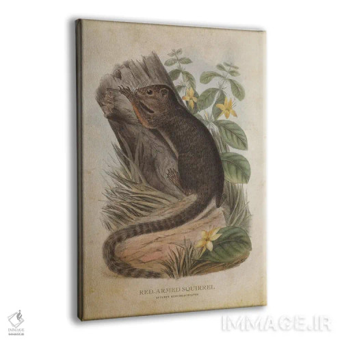 تابلو سنجاب بازوی قرمز (وینتیج) اثر پیکسل کهنه (استودیو/نام هنری) - نمای پرسپکتیو محصول