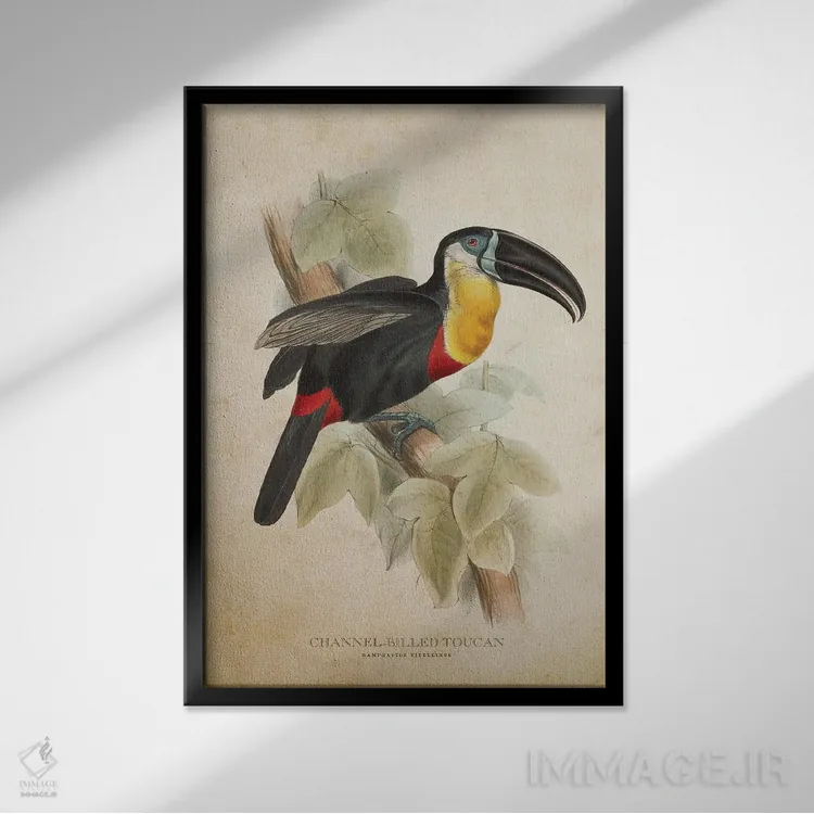 تابلو توقان با منقار کانالدار (وینتیج) اثر پیکسل کهنه (استودیو/نام هنری) - نمای قابدار مشکی