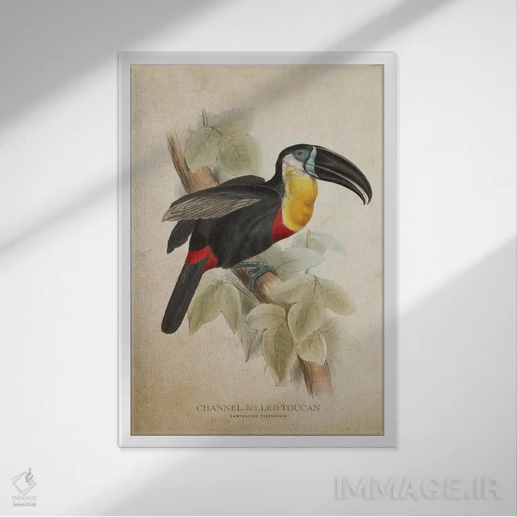 تابلو توقان با منقار کانالدار (وینتیج) اثر پیکسل کهنه (استودیو/نام هنری) - نمای قابدار سفید