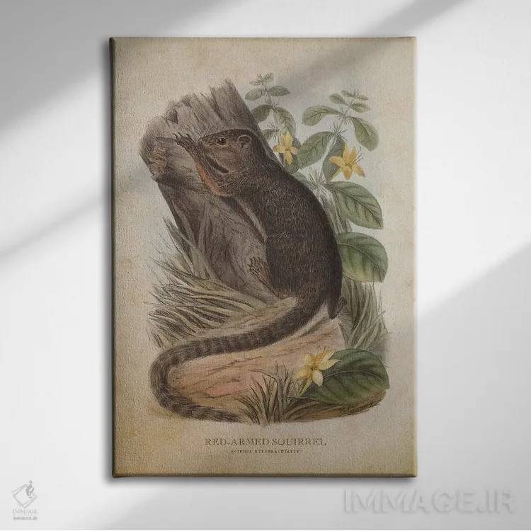 تابلو سنجاب بازوی قرمز (وینتیج) اثر پیکسل کهنه (استودیو/نام هنری) - نمای روبهرو روی دیوار