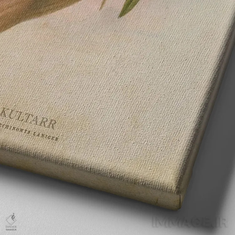 تابلو کولتر (وینتیج) (کیسهدار کوچک استرالیایی) اثر پیکسل کهنه (استودیو/نام هنری) - نمای نزدیک بافت بوم