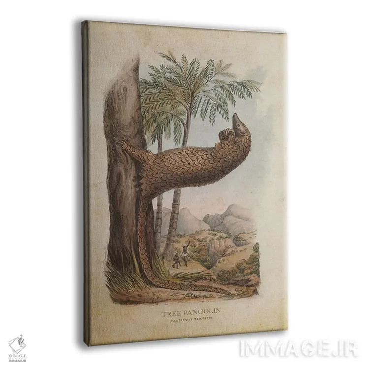 تابلو پانگولین درختی (وینتیج) اثر پیکسل کهنه (استودیو/نام هنری) - نمای پرسپکتیو محصول