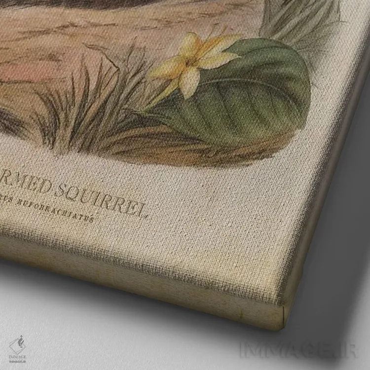 تابلو سنجاب بازوی قرمز (وینتیج) اثر پیکسل کهنه (استودیو/نام هنری) - نمای نزدیک بافت بوم