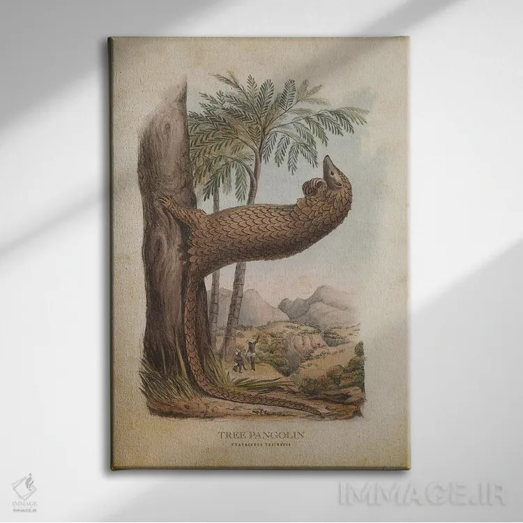 تابلو پانگولین درختی (وینتیج) اثر پیکسل کهنه (استودیو/نام هنری) - نمای روبهرو روی دیوار