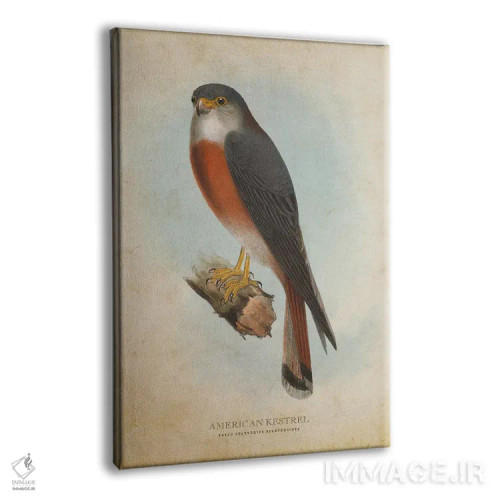 تابلو دلیجه آمریکایی (وینتیج) اثر پیکسل کهنه (استودیو/نام هنری) - نمای پرسپکتیو محصول