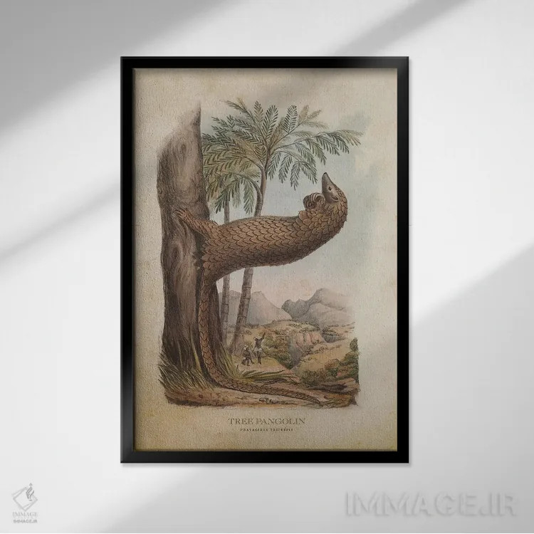 تابلو پانگولین درختی (وینتیج) اثر پیکسل کهنه (استودیو/نام هنری) - نمای قابدار مشکی