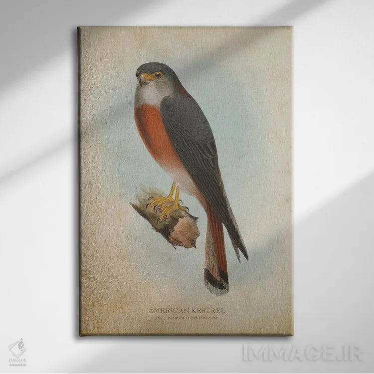 تابلو دلیجه آمریکایی (وینتیج) اثر پیکسل کهنه (استودیو/نام هنری) - نمای روبهرو روی دیوار