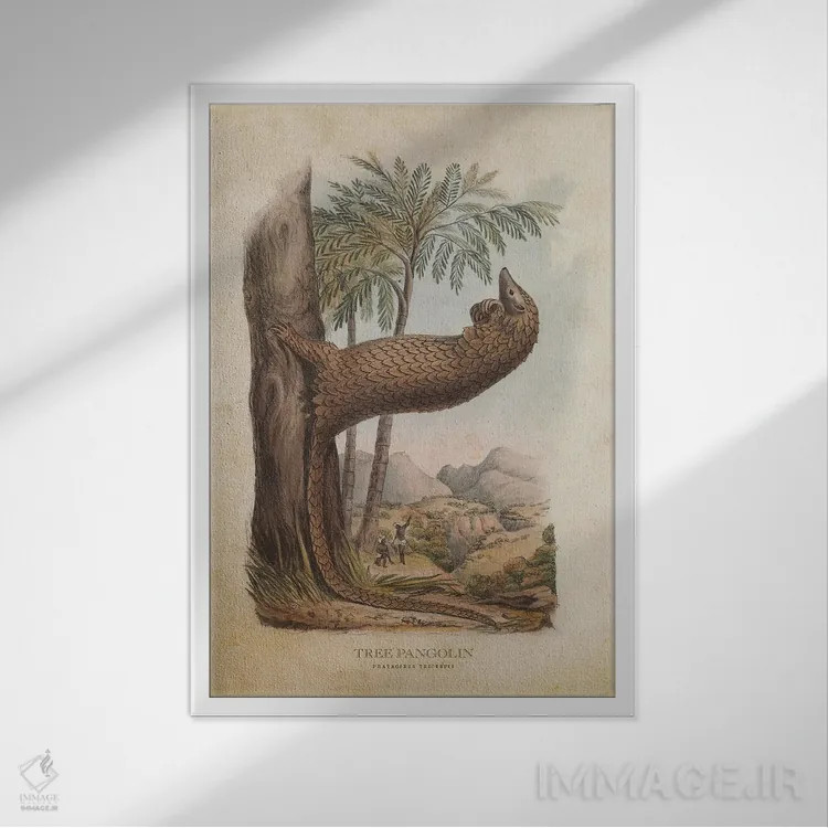 تابلو پانگولین درختی (وینتیج) اثر پیکسل کهنه (استودیو/نام هنری) - نمای قابدار سفید