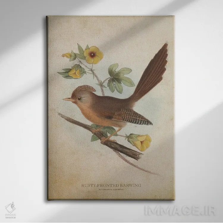 تابلو بالدراز پیشانیزنگاری (وینتیج) (پرنده) اثر پیکسل کهنه (استودیو/نام هنری) - نمای روبهرو روی دیوار