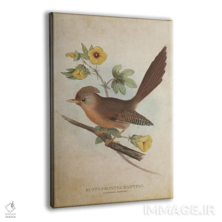 تابلو بالدراز پیشانیزنگاری (وینتیج) (پرنده) اثر پیکسل کهنه (استودیو/نام هنری) - نمای پرسپکتیو محصول