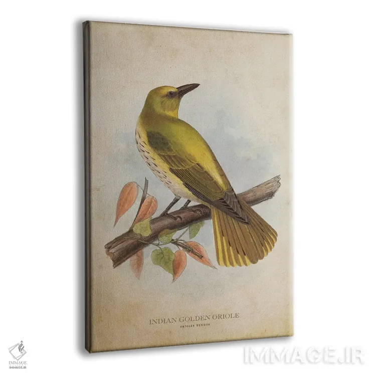 تابلو زرشکنوک طلایی هندی (وینتیج) اثر پیکسل کهنه (استودیو/نام هنری) - نمای پرسپکتیو محصول