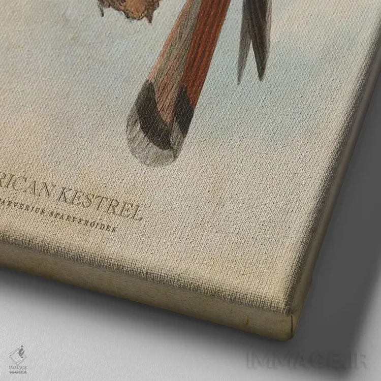 تابلو دلیجه آمریکایی (وینتیج) اثر پیکسل کهنه (استودیو/نام هنری) - نمای نزدیک بافت بوم