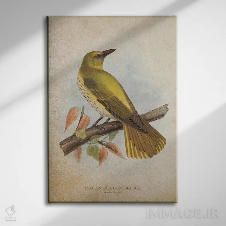 تابلو زرشکنوک طلایی هندی (وینتیج) اثر پیکسل کهنه (استودیو/نام هنری) - نمای روبهرو روی دیوار