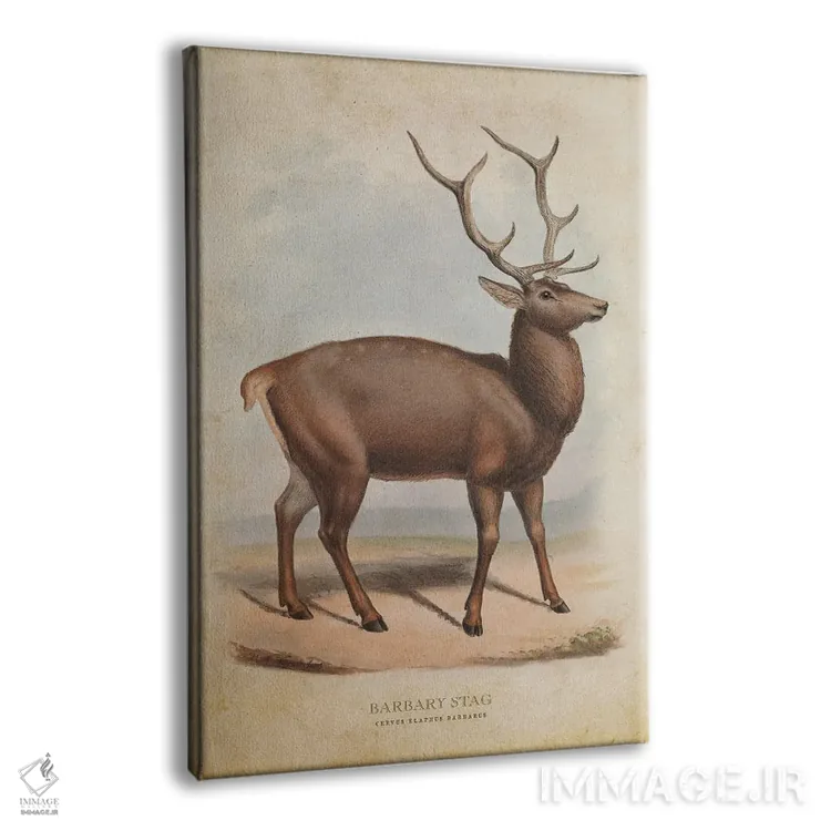 تابلو گوزن بربر (وینتیج) اثر پیکسل کهنه (استودیو/نام هنری) - نمای پرسپکتیو محصول