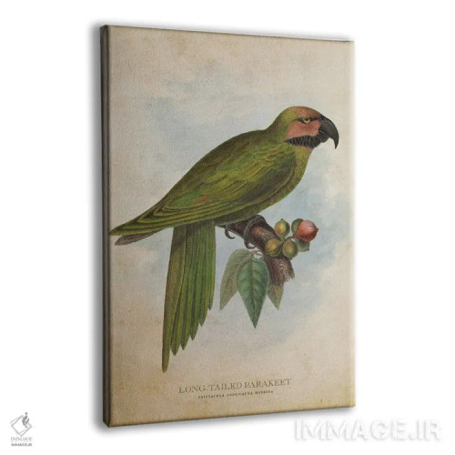 تابلو طوطی کوچک دمبلند (وینتیج) اثر پیکسل کهنه (استودیو/نام هنری) - نمای پرسپکتیو محصول