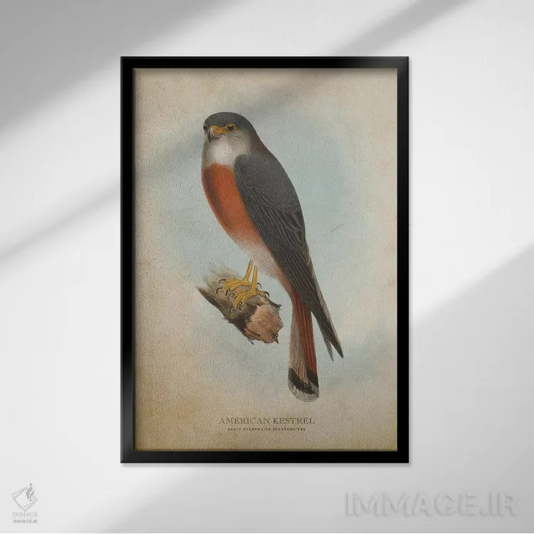 تابلو دلیجه آمریکایی (وینتیج) اثر پیکسل کهنه (استودیو/نام هنری) - نمای قابدار مشکی