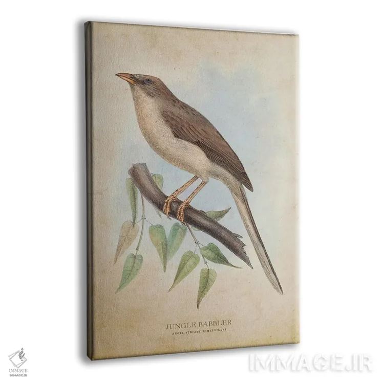 تابلو پرنده کلاغموزی جنگل (وینتیج) اثر پیکسل کهنه (استودیو/نام هنری) - نمای پرسپکتیو محصول