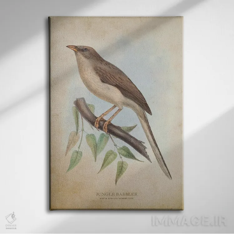 تابلو پرنده کلاغموزی جنگل (وینتیج) اثر پیکسل کهنه (استودیو/نام هنری) - نمای روبهرو روی دیوار