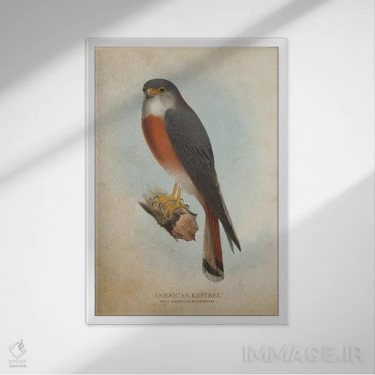 تابلو دلیجه آمریکایی (وینتیج) اثر پیکسل کهنه (استودیو/نام هنری) - نمای قابدار سفید