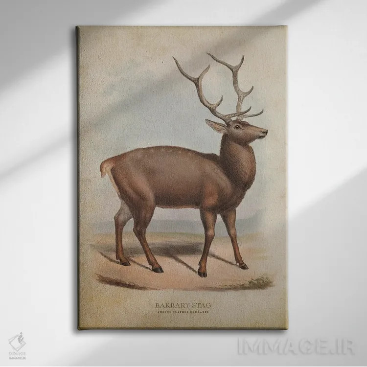 تابلو گوزن بربر (وینتیج) اثر پیکسل کهنه (استودیو/نام هنری) - نمای روبهرو روی دیوار