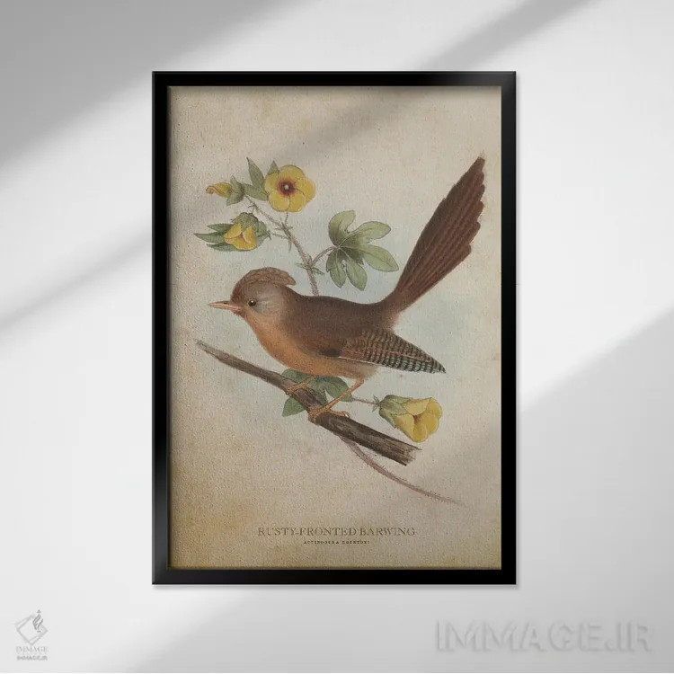 تابلو بالدراز پیشانیزنگاری (وینتیج) (پرنده) اثر پیکسل کهنه (استودیو/نام هنری) - نمای قابدار مشکی