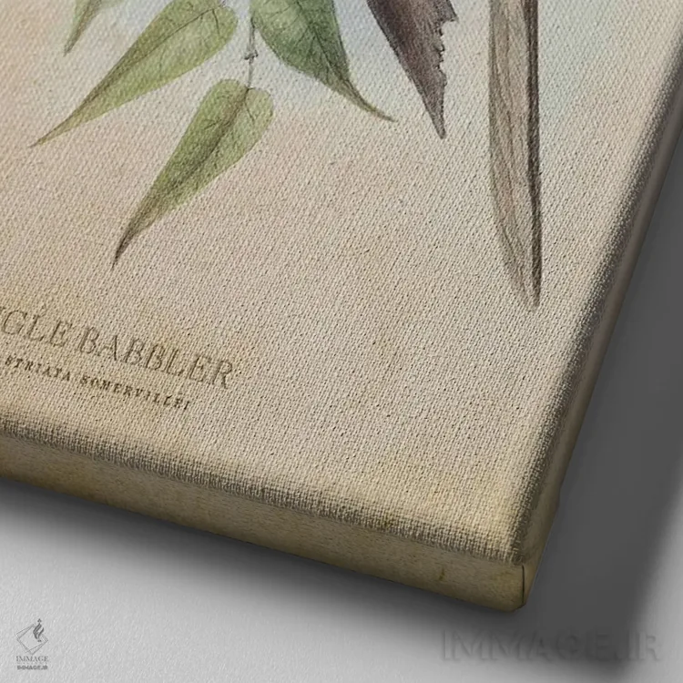 تابلو پرنده کلاغموزی جنگل (وینتیج) اثر پیکسل کهنه (استودیو/نام هنری) - نمای نزدیک بافت بوم