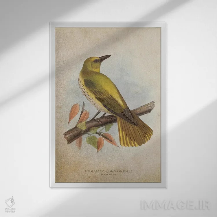 تابلو زرشکنوک طلایی هندی (وینتیج) اثر پیکسل کهنه (استودیو/نام هنری) - نمای قابدار سفید