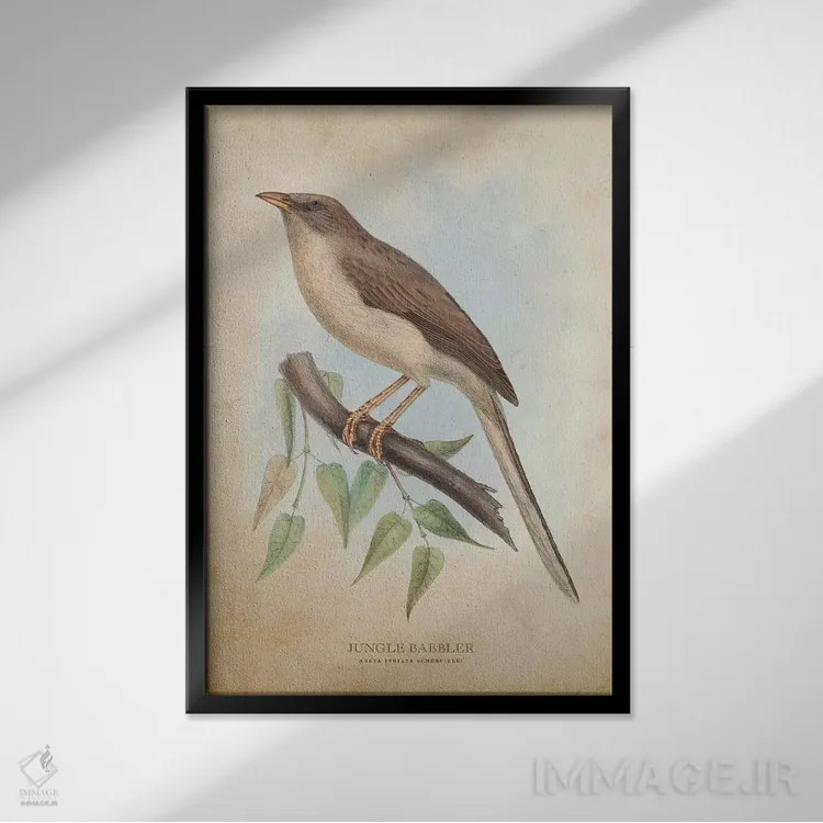 تابلو پرنده کلاغموزی جنگل (وینتیج) اثر پیکسل کهنه (استودیو/نام هنری) - نمای قابدار مشکی