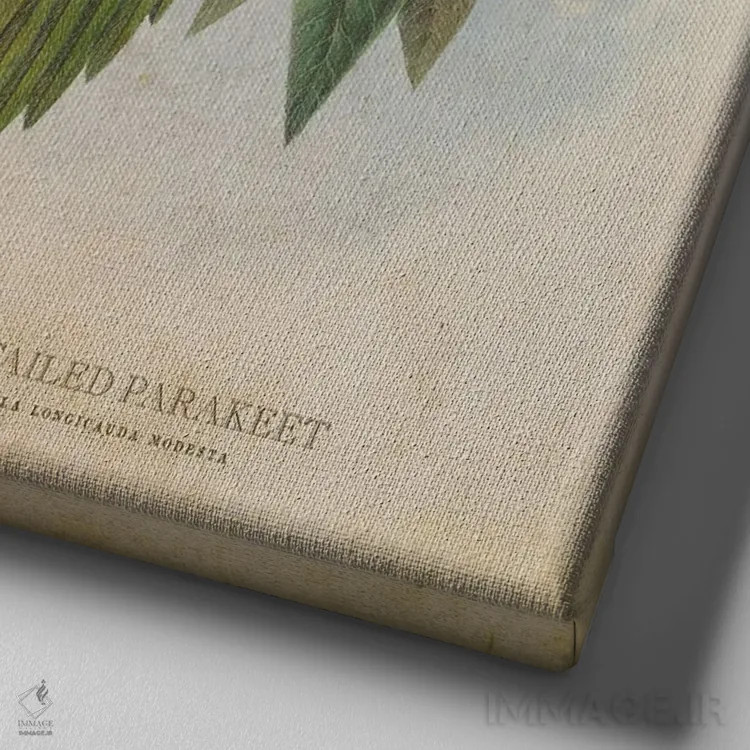 تابلو طوطی کوچک دمبلند (وینتیج) اثر پیکسل کهنه (استودیو/نام هنری) - نمای نزدیک بافت بوم