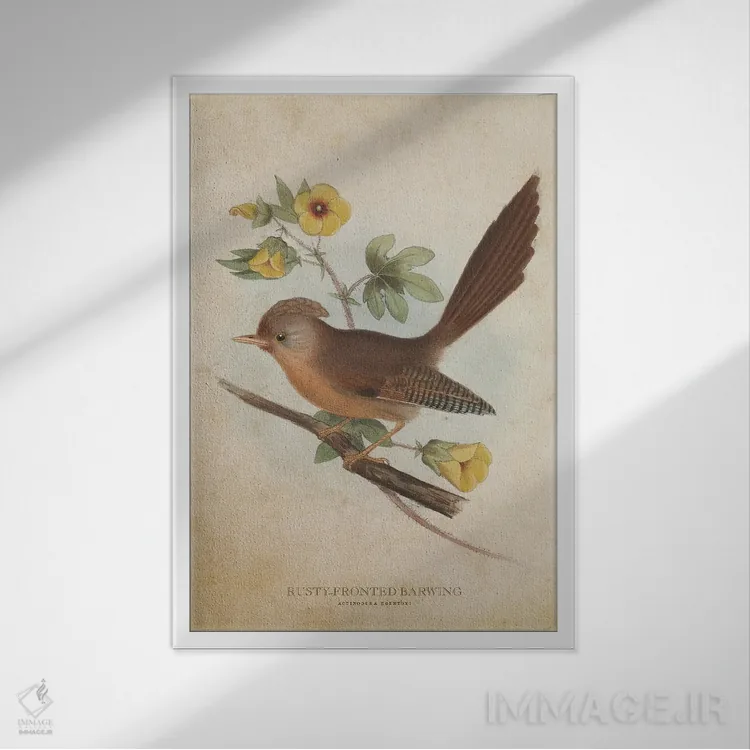 تابلو بالدراز پیشانیزنگاری (وینتیج) (پرنده) اثر پیکسل کهنه (استودیو/نام هنری) - نمای قابدار سفید