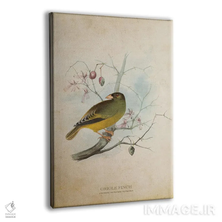 تابلو فنچ زرشکی (وینتیج) اثر پیکسل کهنه (استودیو/نام هنری) - نمای پرسپکتیو محصول