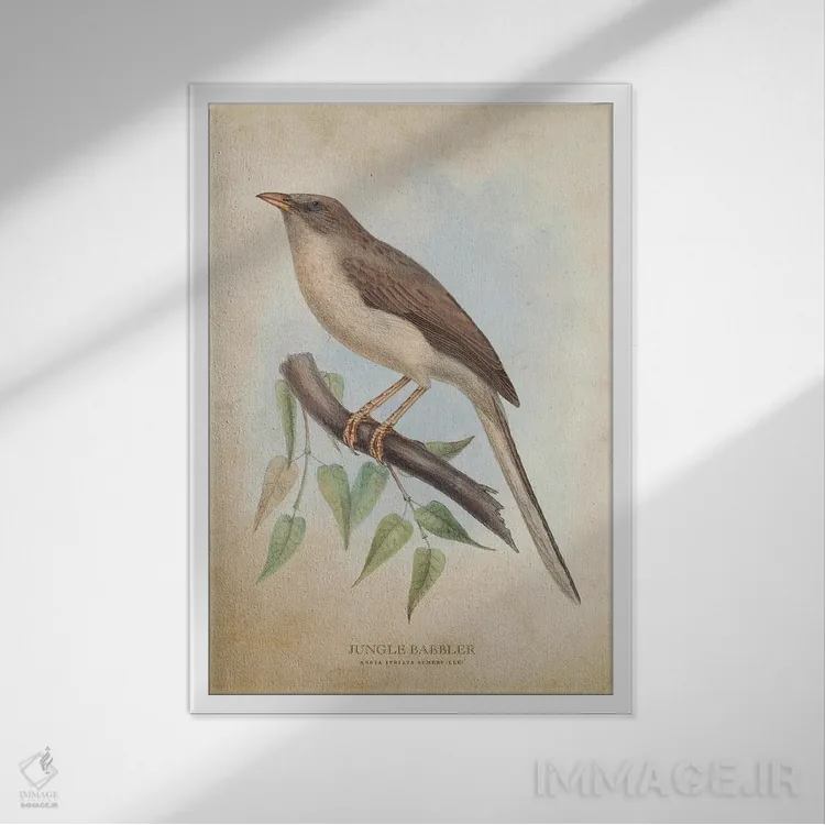 تابلو پرنده کلاغموزی جنگل (وینتیج) اثر پیکسل کهنه (استودیو/نام هنری) - نمای قابدار سفید