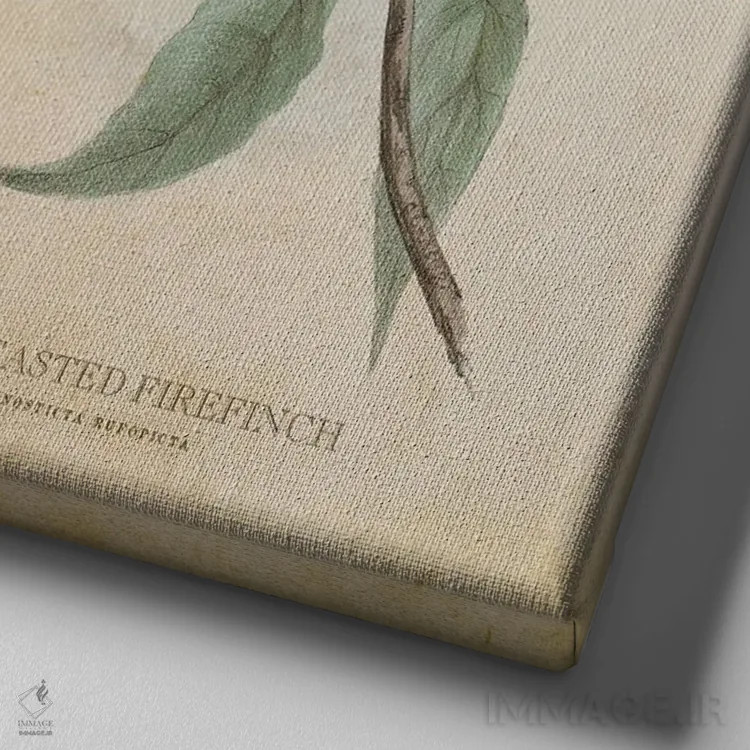 تابلو فنچ آتشی سینهراهراه (وینتیج) اثر پیکسل کهنه (استودیو/نام هنری) - نمای نزدیک بافت بوم