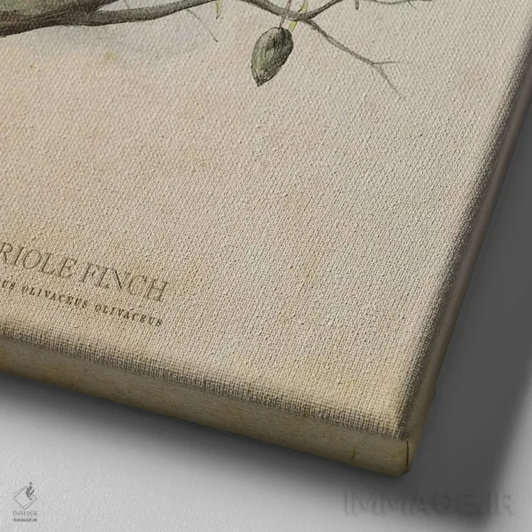 تابلو فنچ زرشکی (وینتیج) اثر پیکسل کهنه (استودیو/نام هنری) - نمای نزدیک بافت بوم