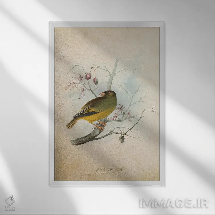تابلو فنچ زرشکی (وینتیج) اثر پیکسل کهنه (استودیو/نام هنری) - نمای قابدار سفید