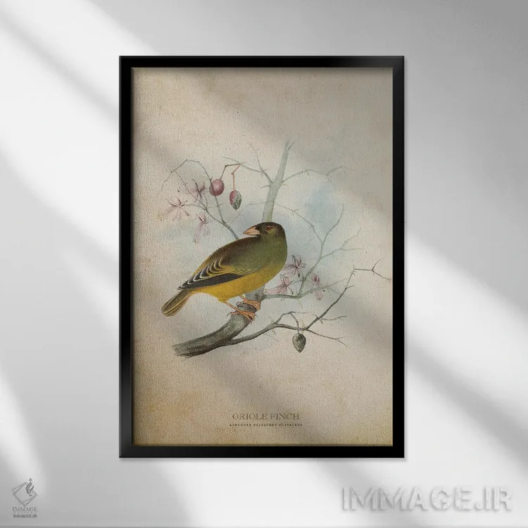 تابلو فنچ زرشکی (وینتیج) اثر پیکسل کهنه (استودیو/نام هنری) - نمای قابدار مشکی