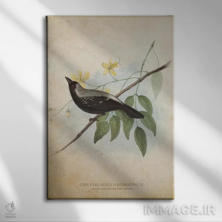تابلو فنچ سیاه سرخاکستری (وینتیج) اثر پیکسل کهنه (استودیو/نام هنری) - نمای روبهرو روی دیوار