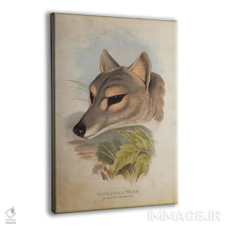 تابلو سر ببر تاسمانی (وینتیج) اثر پیکسل کهنه (استودیو/نام هنری) - نمای پرسپکتیو محصول