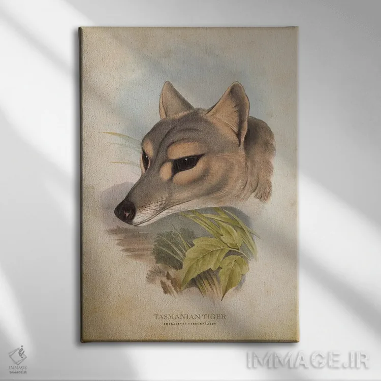 تابلو سر ببر تاسمانی (وینتیج) اثر پیکسل کهنه (استودیو/نام هنری) - نمای روبهرو روی دیوار