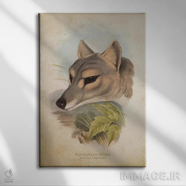 تابلو سر ببر تاسمانی (وینتیج) اثر پیکسل کهنه (استودیو/نام هنری) - نمای روبهرو روی دیوار