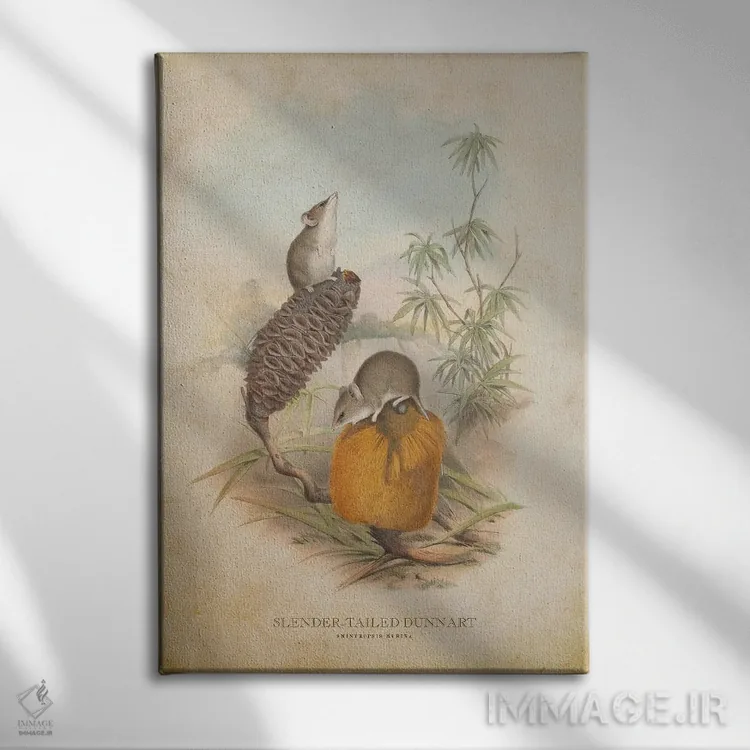تابلو دونارت دمباریک (وینتیج) اثر پیکسل کهنه (استودیو/نام هنری) - نمای روبهرو روی دیوار