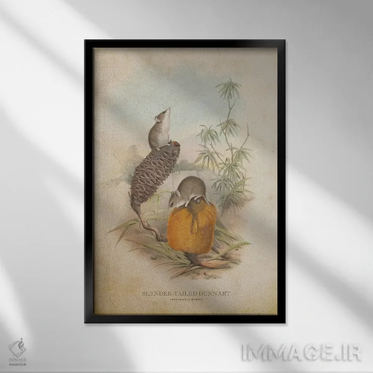 تابلو دونارت دمباریک (وینتیج) اثر پیکسل کهنه (استودیو/نام هنری) - نمای قابدار مشکی