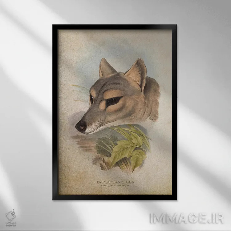 تابلو سر ببر تاسمانی (وینتیج) اثر پیکسل کهنه (استودیو/نام هنری) - نمای قابدار مشکی