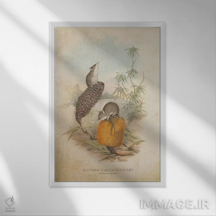 تابلو دونارت دمباریک (وینتیج) اثر پیکسل کهنه (استودیو/نام هنری) - نمای قابدار سفید