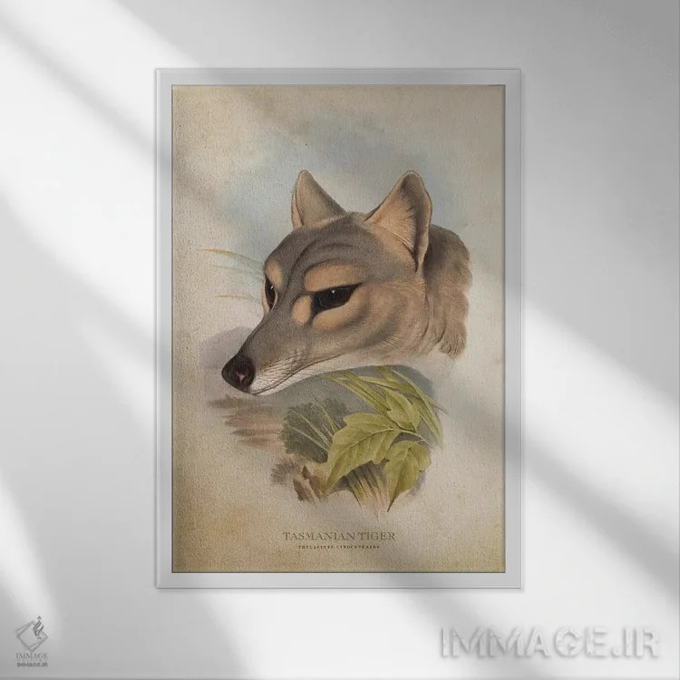 تابلو سر ببر تاسمانی (وینتیج) اثر پیکسل کهنه (استودیو/نام هنری) - نمای قابدار سفید