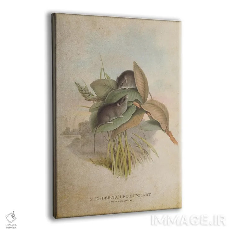 تابلو دونارت دمباریک (وینتیج) اثر پیکسل کهنه (استودیو/نام هنری) - نمای پرسپکتیو محصول