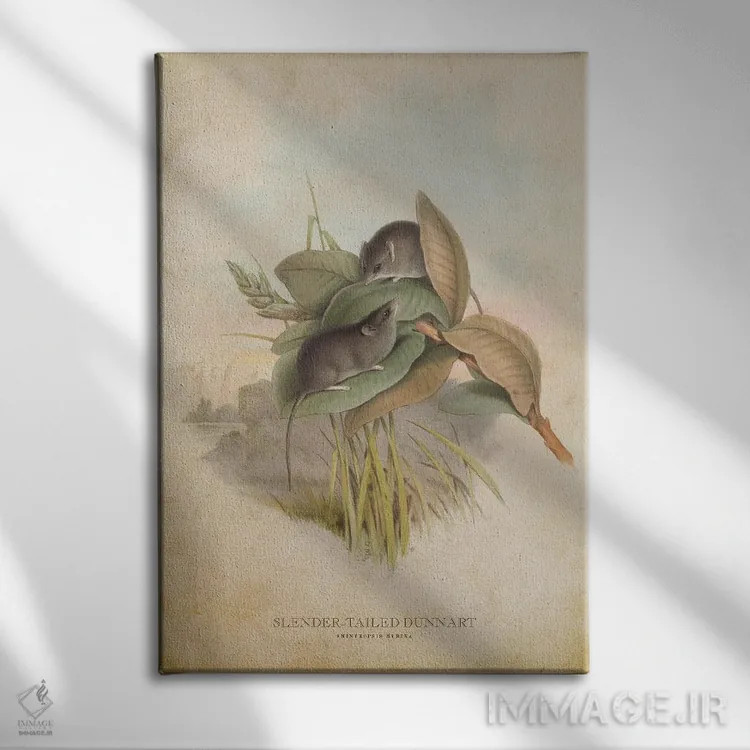 تابلو دونارت دمباریک (وینتیج) اثر پیکسل کهنه (استودیو/نام هنری) - نمای روبهرو روی دیوار