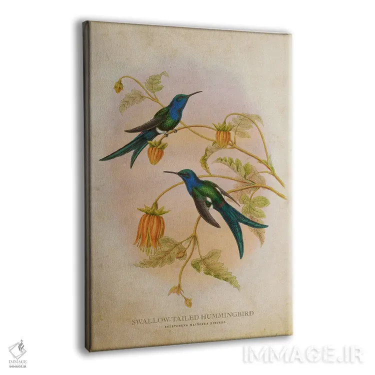 تابلو مرغ مگسخوار دمپرستوئی (وینتیج) اثر پیکسل کهنه (استودیو/نام هنری) - نمای پرسپکتیو محصول