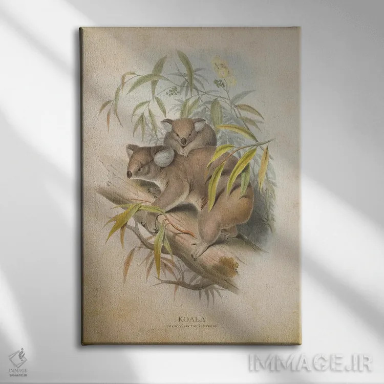 تابلو کوالا (وینتیج) اثر پیکسل کهنه (استودیو/نام هنری) - نمای روبهرو روی دیوار